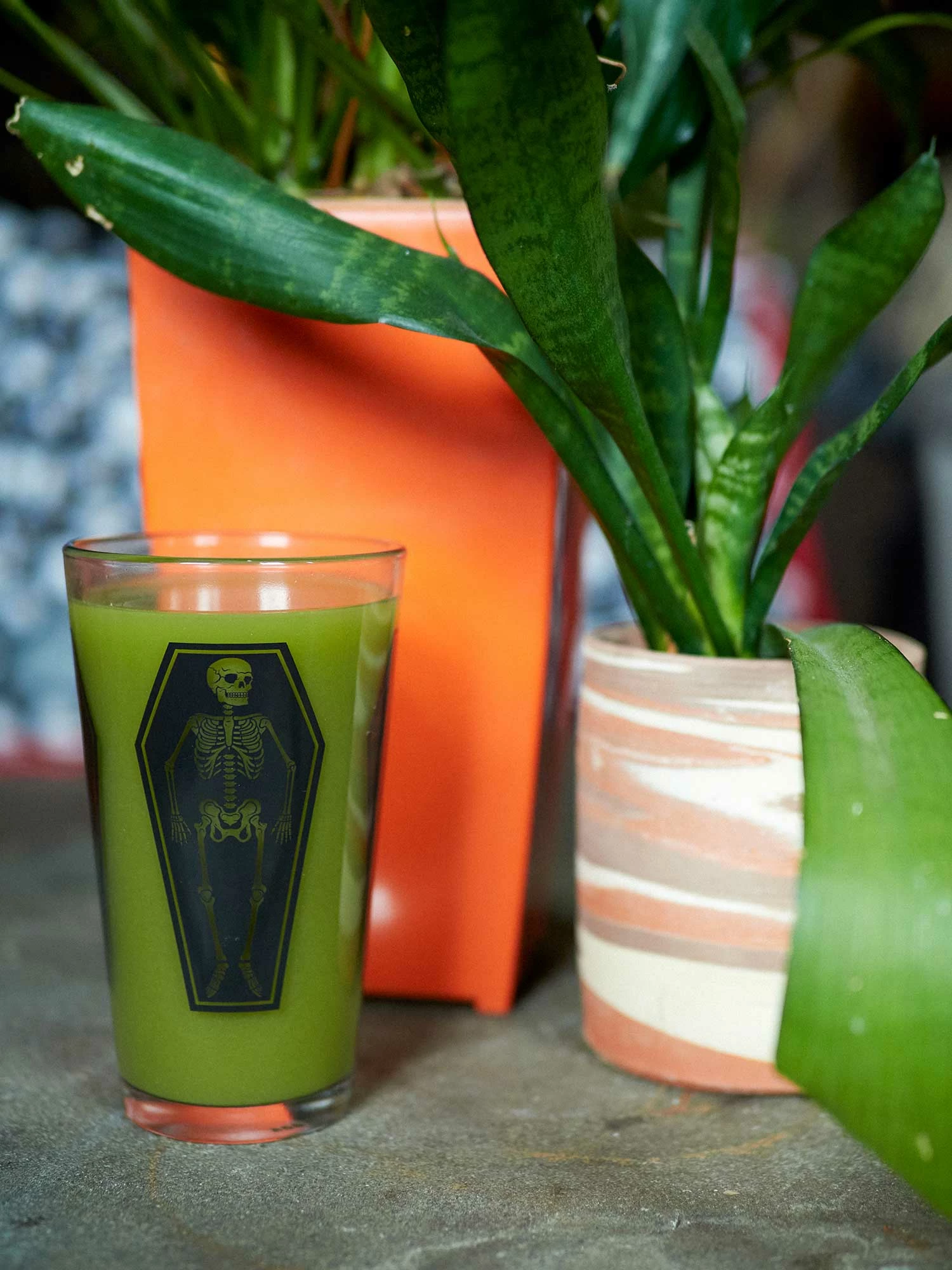 Outlet ???? SOURPUSS SKELETON PINT GLASS ???? - Image 2