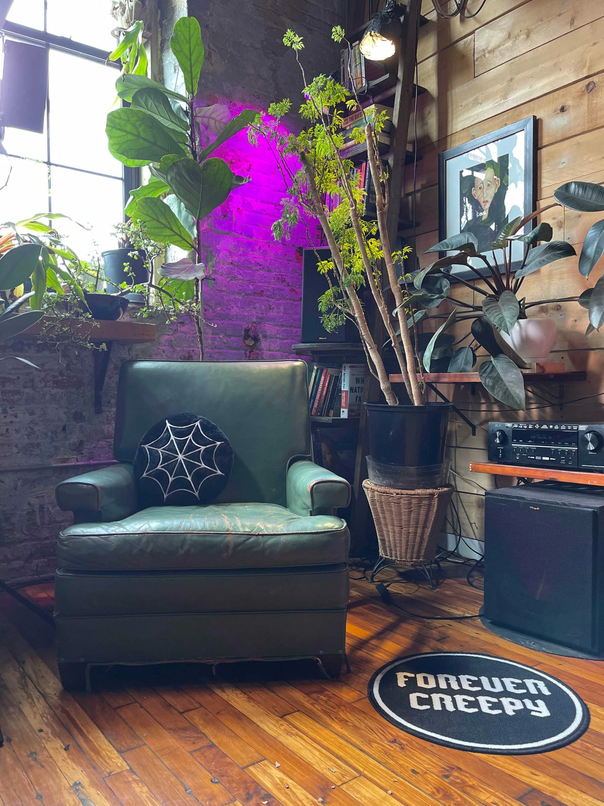 Flash Sale ???? SOURPUSS FURRY SPIDERWEB PILLOW ???? - Image 2